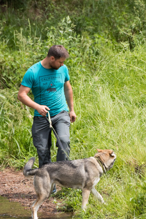 srp_tamaskan-sommerfest-2019_reportage_097