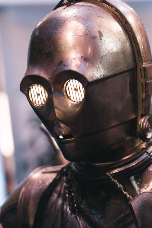 srp_sw-rf-impressionen-frsa-2019_021