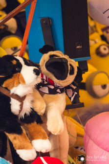 srp_salatkirmes-ziegenhain-20160528_053