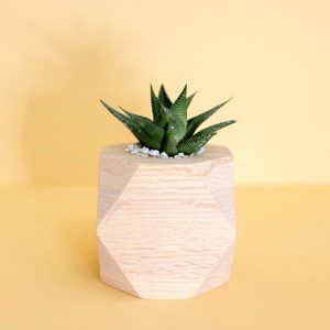 mong-bui-515633-unsplash mong-bui-515633-unsplash